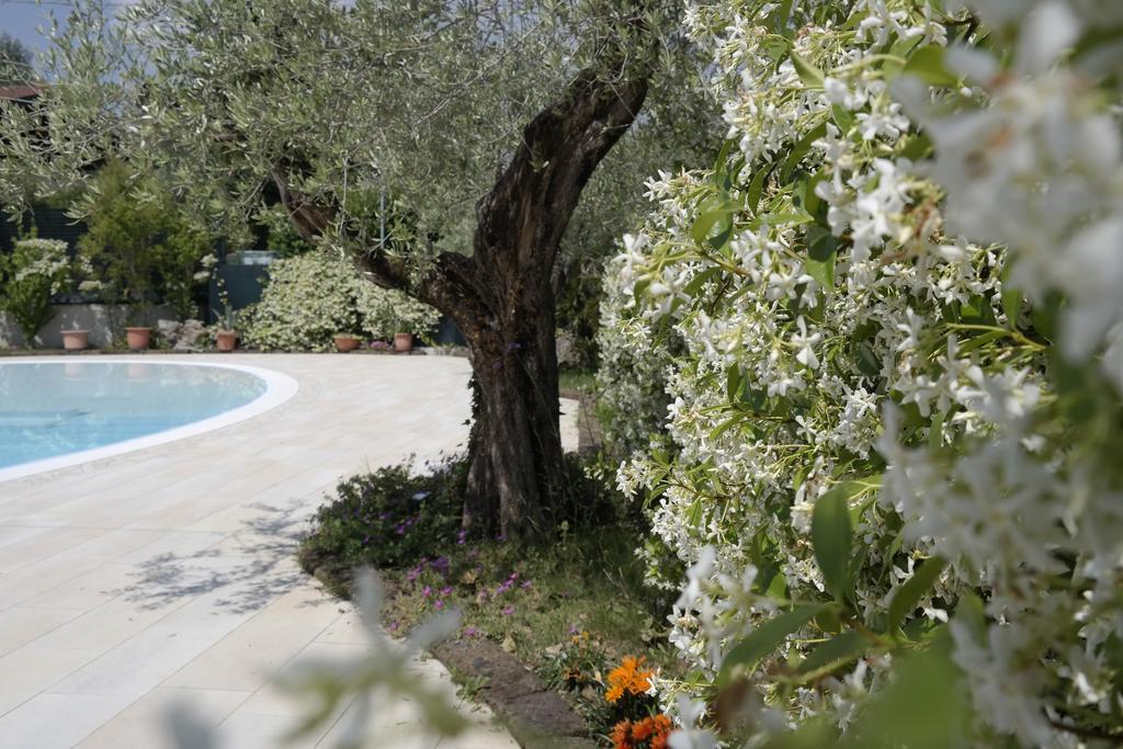 Campeggio Delle Rose Moniga del Garda Exterior foto